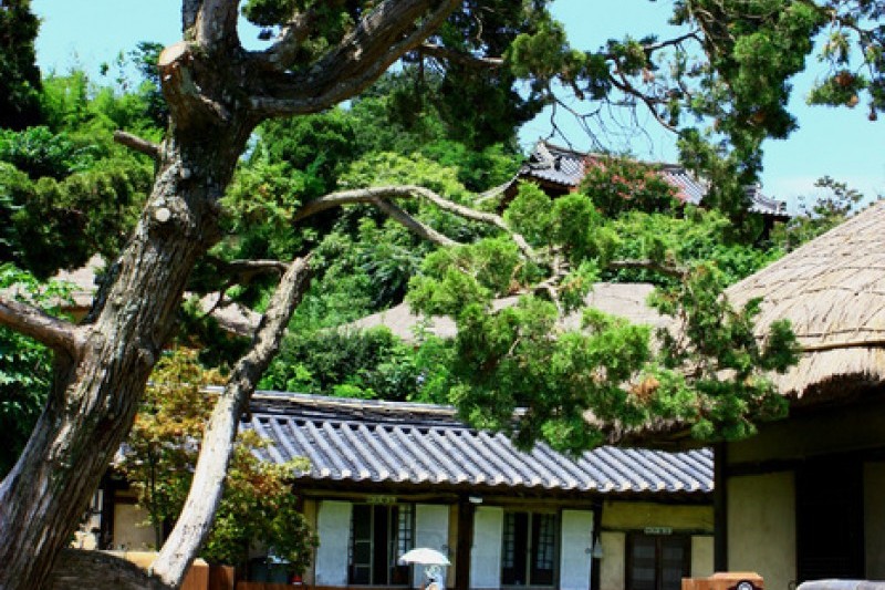 慶州良洞村[UNESCO世界文化遺產] (24/45)
