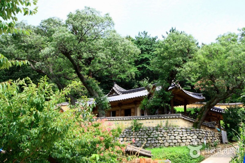 慶州良洞村[UNESCO世界文化遺產] (39/45)