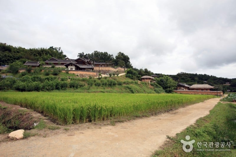 慶州良洞村[UNESCO世界文化遺產] (41/45)