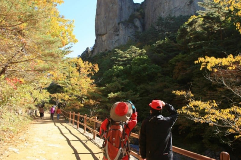 周王山國立公園 (3/37)