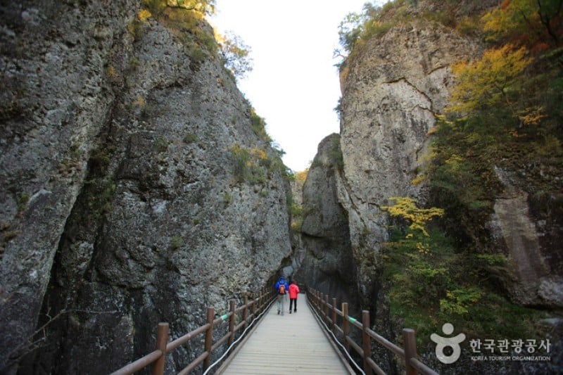 周王山國立公園 (11/37)