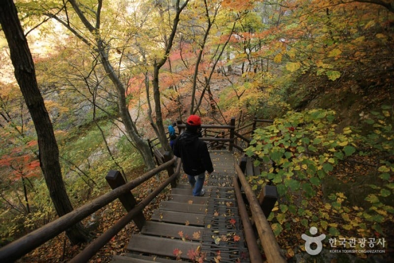 周王山國立公園 (15/37)
