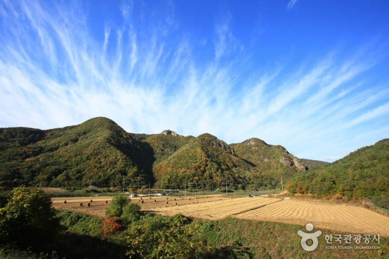周王山國立公園 (23/37)