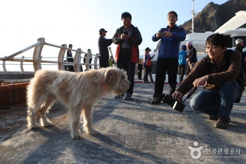 獨島 (1/20)