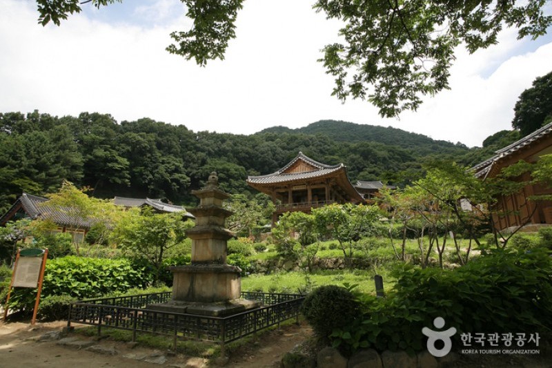 浮石寺 (6/19)