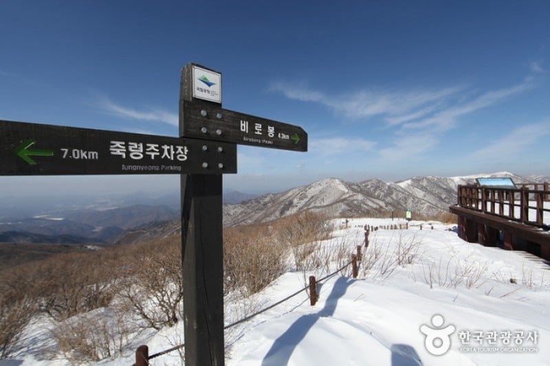 小白山國立公園 (4/25)