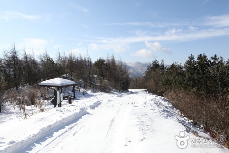 小白山國立公園 (16/25)