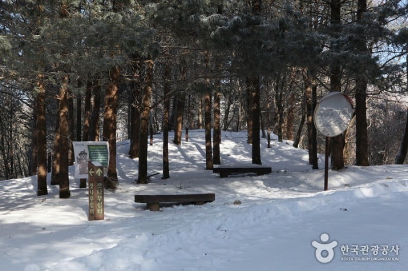 小白山國立公園 (17/25)