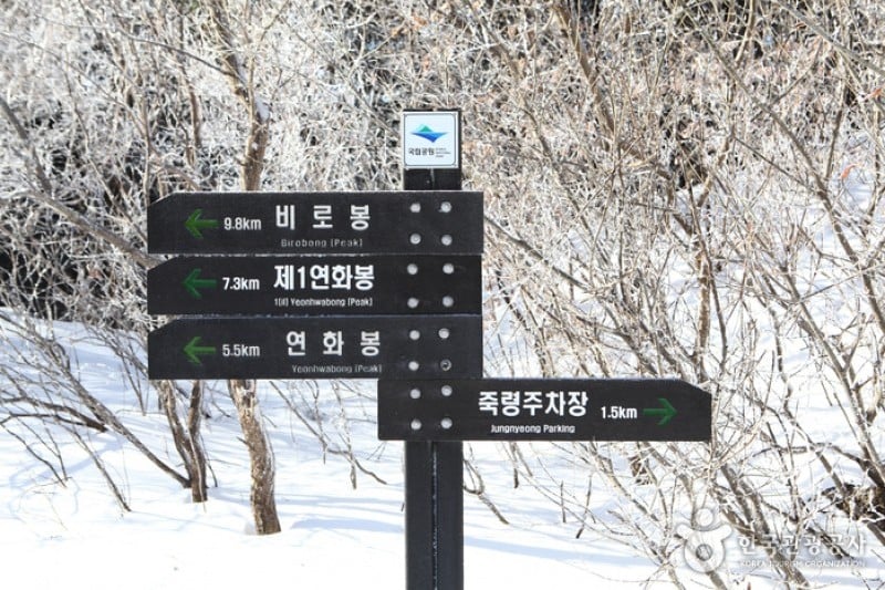 小白山國立公園 (19/25)