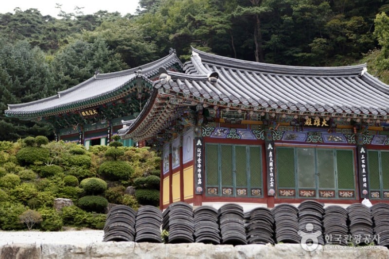 小白山國立公園 (23/25)