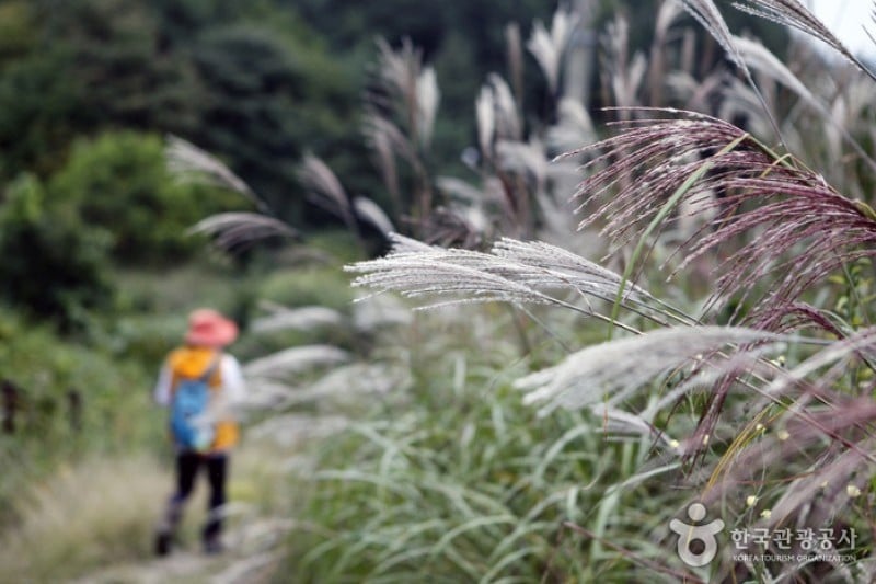 小白山國立公園 (24/25)