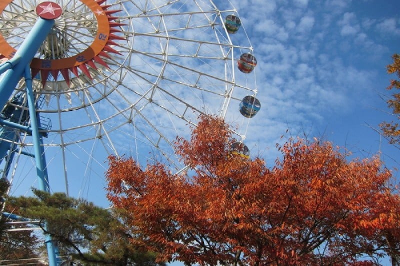 慶州樂園Amusement (6/6)