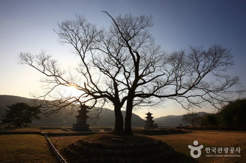 慶州感恩寺址 (24/25)
