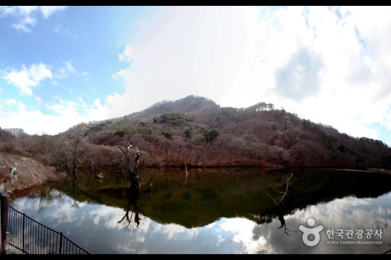 注山池  (1/14)