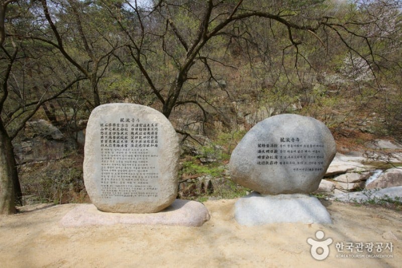 聞慶鳥嶺道立公園 (1/46)