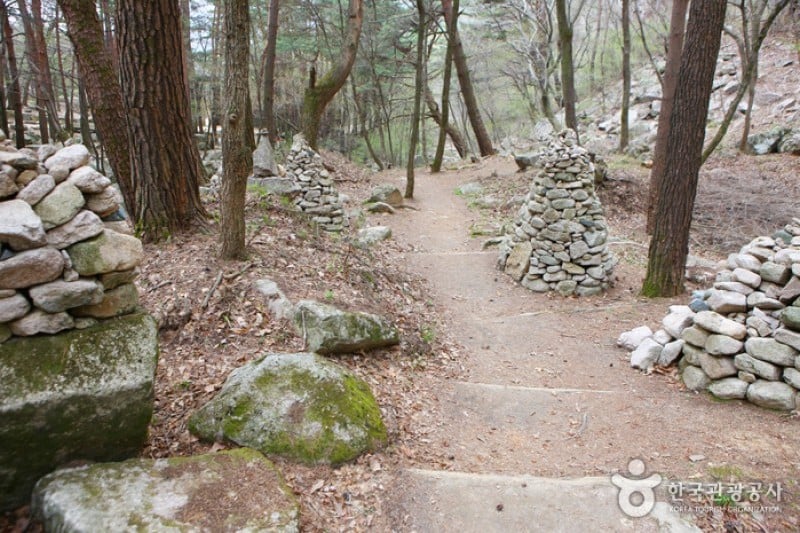 聞慶鳥嶺道立公園 (9/46)
