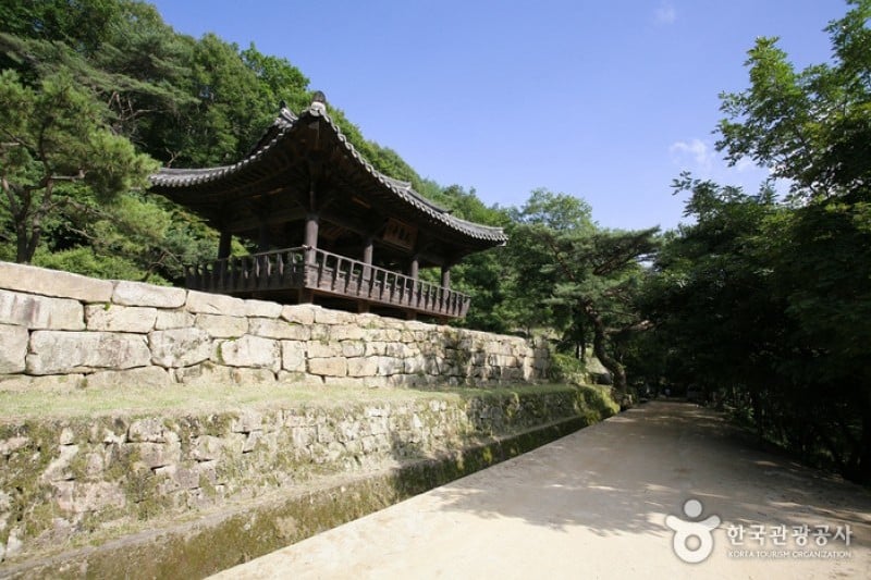聞慶鳥嶺道立公園 (10/46)