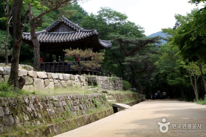 聞慶鳥嶺道立公園 (12/46)