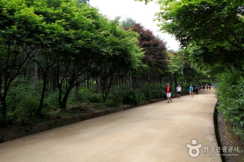 聞慶鳥嶺道立公園 (13/46)