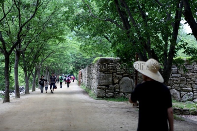 聞慶鳥嶺道立公園 (14/46)