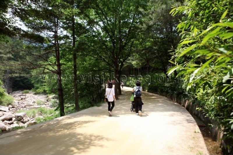 聞慶鳥嶺道立公園 (15/46)