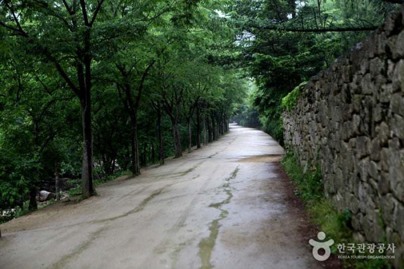 聞慶鳥嶺道立公園 (17/46)