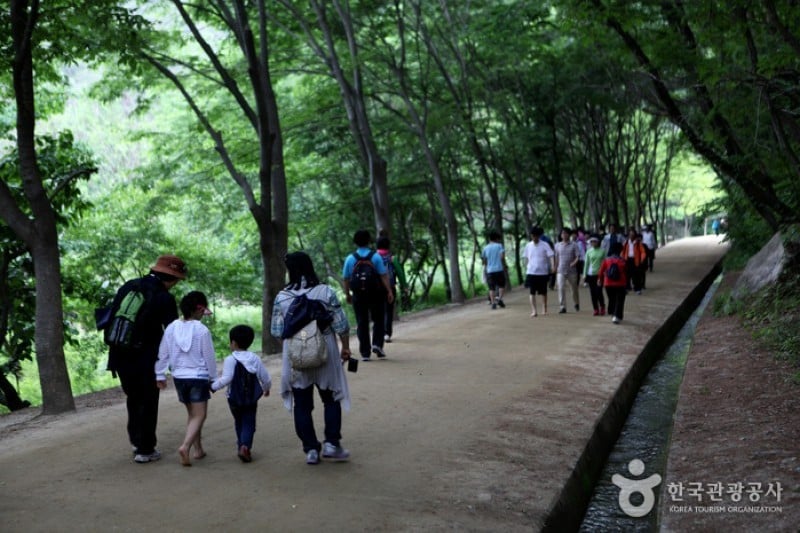 聞慶鳥嶺道立公園 (18/46)