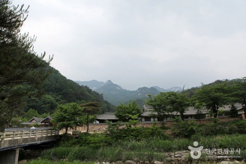 聞慶鳥嶺道立公園 (19/46)