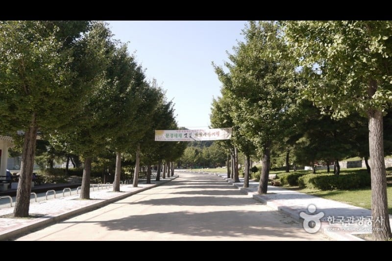 聞慶鳥嶺道立公園 (23/46)