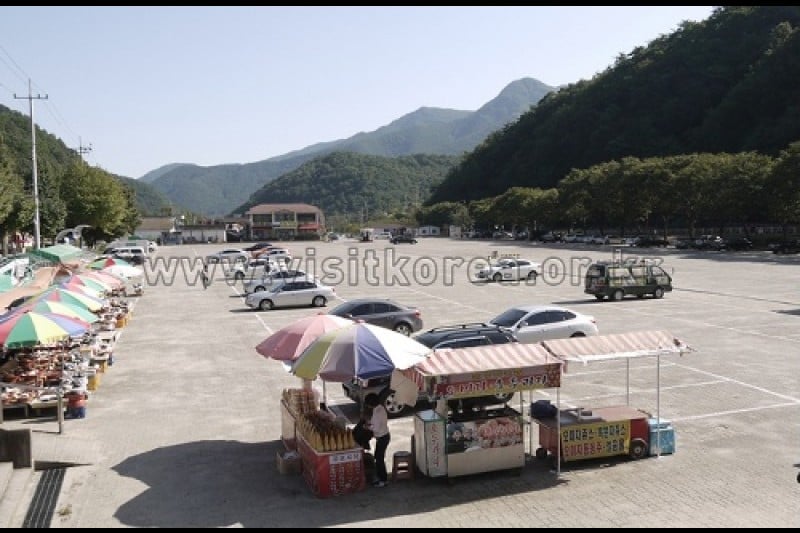 聞慶鳥嶺道立公園 (27/46)
