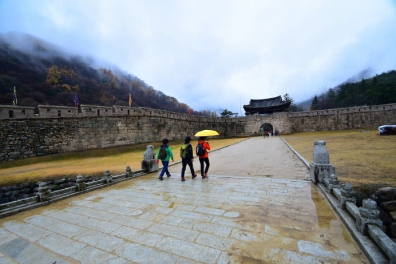聞慶鳥嶺道立公園 (37/46)