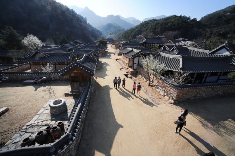 聞慶鳥嶺道立公園 (38/46)
