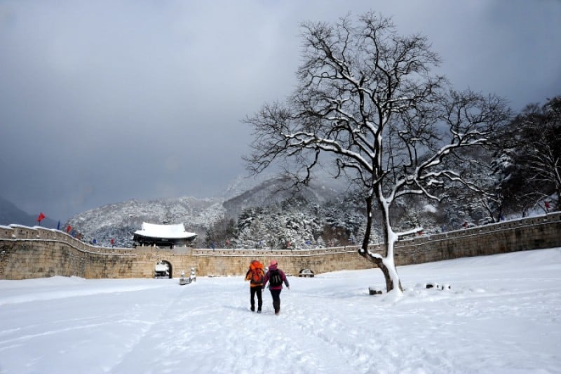 聞慶鳥嶺道立公園 (40/46)