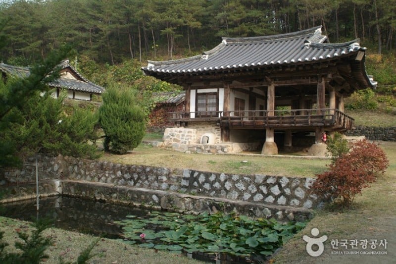 安東君子村 (3/11)