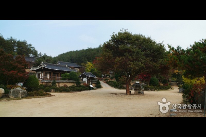 安東君子村 (6/11)