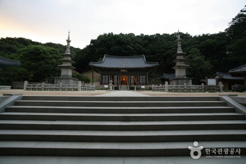 直指寺 (1/11)