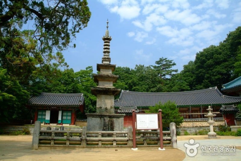 直指寺 (6/11)