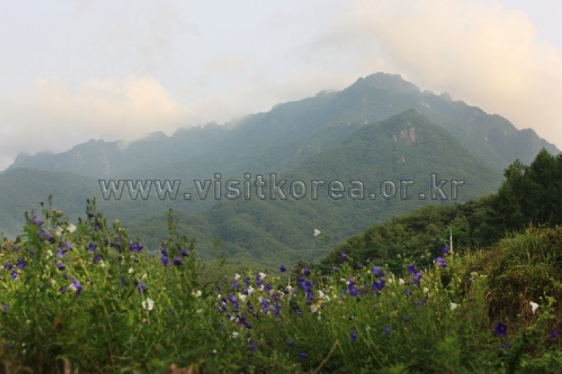 伽倻山國立公園