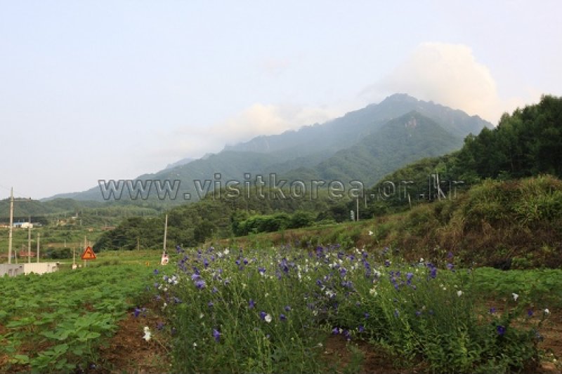 伽倻山國立公園