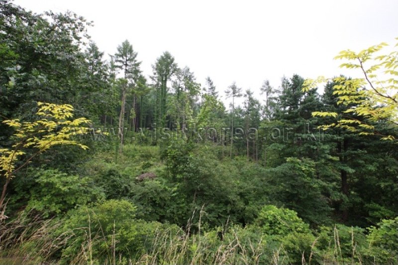 伽倻山國立公園