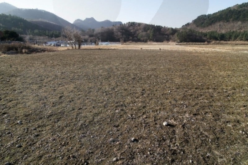 羅里盆地 (7/10)
