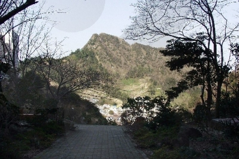 道洞藥水池 (2/6)