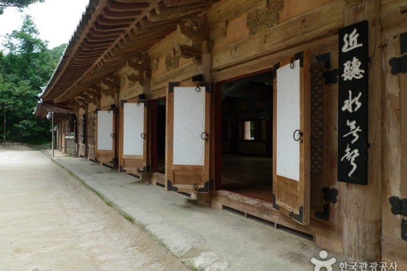 祇林寺 (8/31)