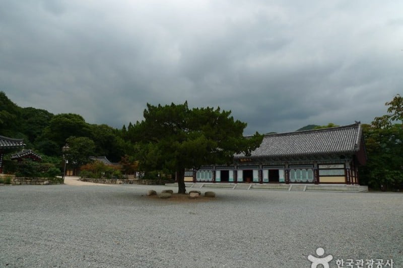 祇林寺 (13/31)