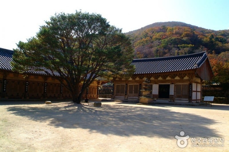 祇林寺 (24/31)