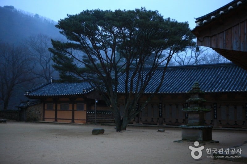 祇林寺 (29/31)