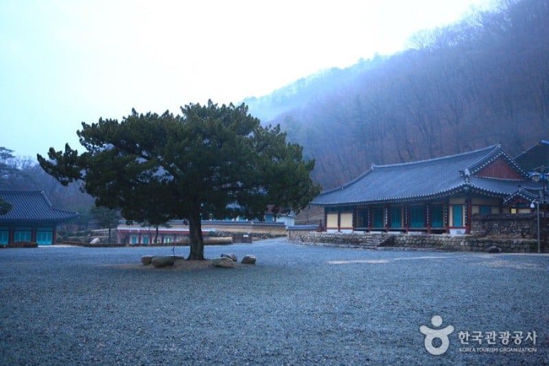 祇林寺 (30/31)