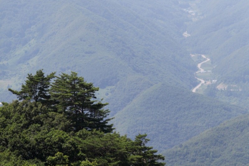 淸凉山道立公園 