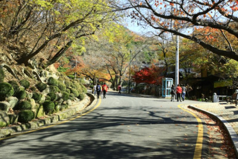 八公山道立公園 (2/9)