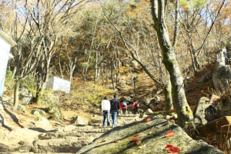 八公山道立公園 (5/9)